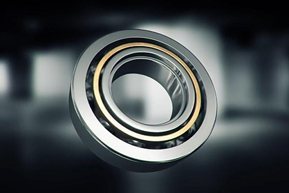 Happy Chinese New Year 2019 and Thanks for your support !