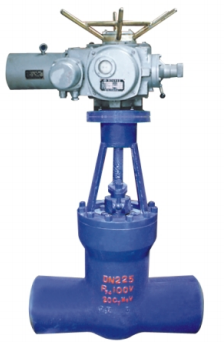 High temperature and high pressure gate valves