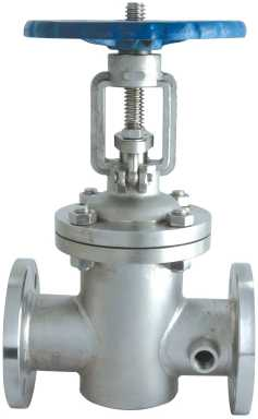 Jacket Gate Valve