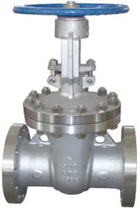 ANSI Gate Valve