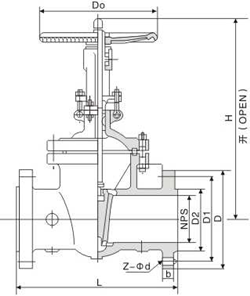 ANSI Gate Valve