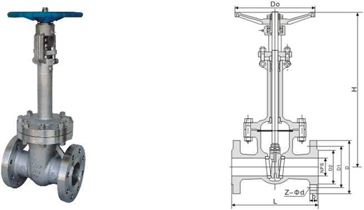 ANSI Cryogenic Gate Valve