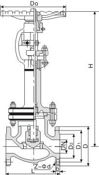 Cryogenic Globe Valve