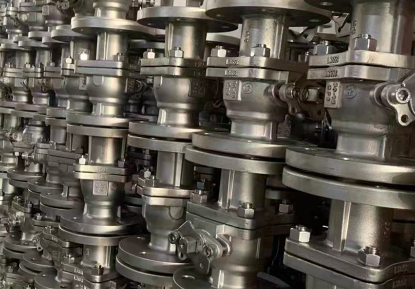 Balanced Globe valve