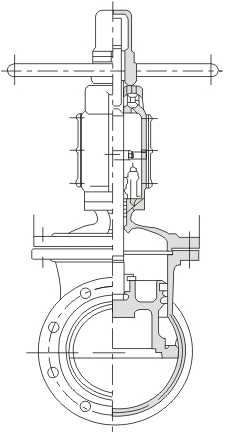 Balanced Globe valve