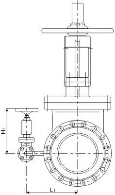 Oxygen Globe valve