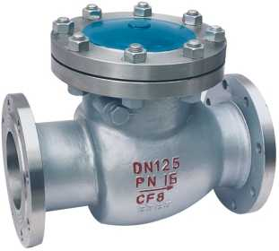 Swing Check Valve