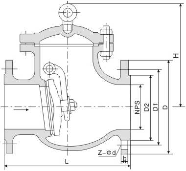 Swing Check Valve