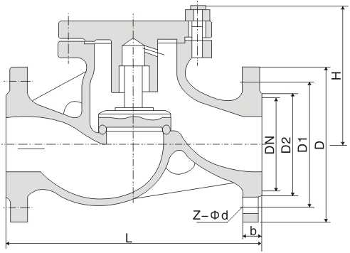 Lift Check Valve