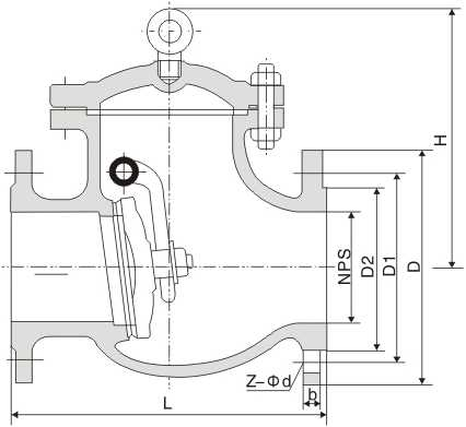 ANSI Check Valve