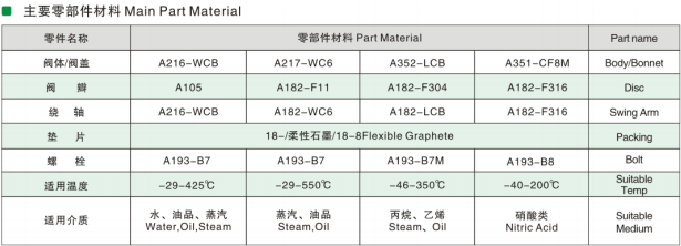 ANSI Check Valve