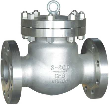 ANSI Cryogenic Check Valve
