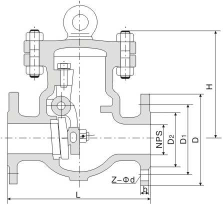 ANSI Cryogenic Check Valve
