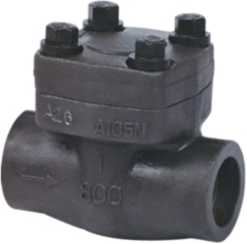 Forged Check Valve