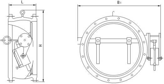 Butterfly Buffer Check Valve