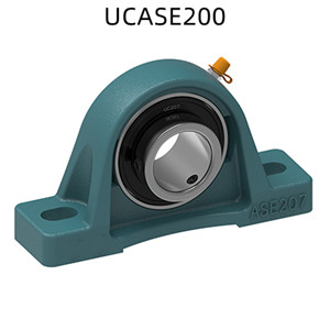 HCP200, UCLP200, UKP200, UCAK200, UCPK200, UCPE200, UCASE200, HCASE200, UCCP200, NCP200, UCPX00, UKPX00, UkP300