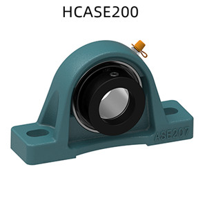 HCP200, UCLP200, UKP200, UCAK200, UCPK200, UCPE200, UCASE200, HCASE200, UCCP200, NCP200, UCPX00, UKPX00, UkP300