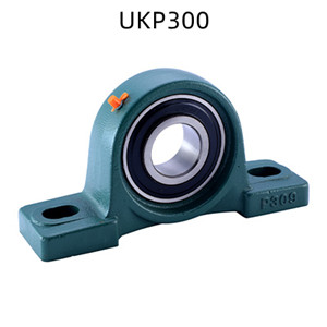 HCP200, UCLP200, UKP200, UCAK200, UCPK200, UCPE200, UCASE200, HCASE200, UCCP200, NCP200, UCPX00, UKPX00, UkP300