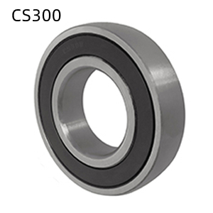 CS302 CS303 CS304 CS305 CS306 CS307 CS308 CS309 CS310 CS311 CS312